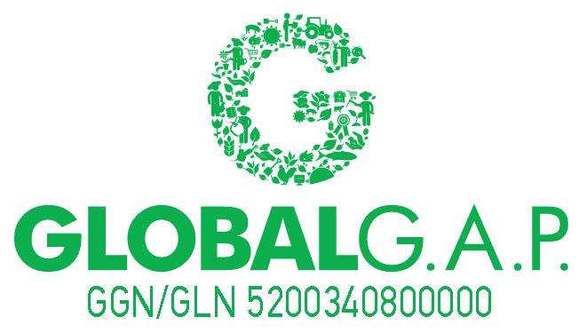 Logo GLOBALG.A.P. GGN/GLN 5200340800000